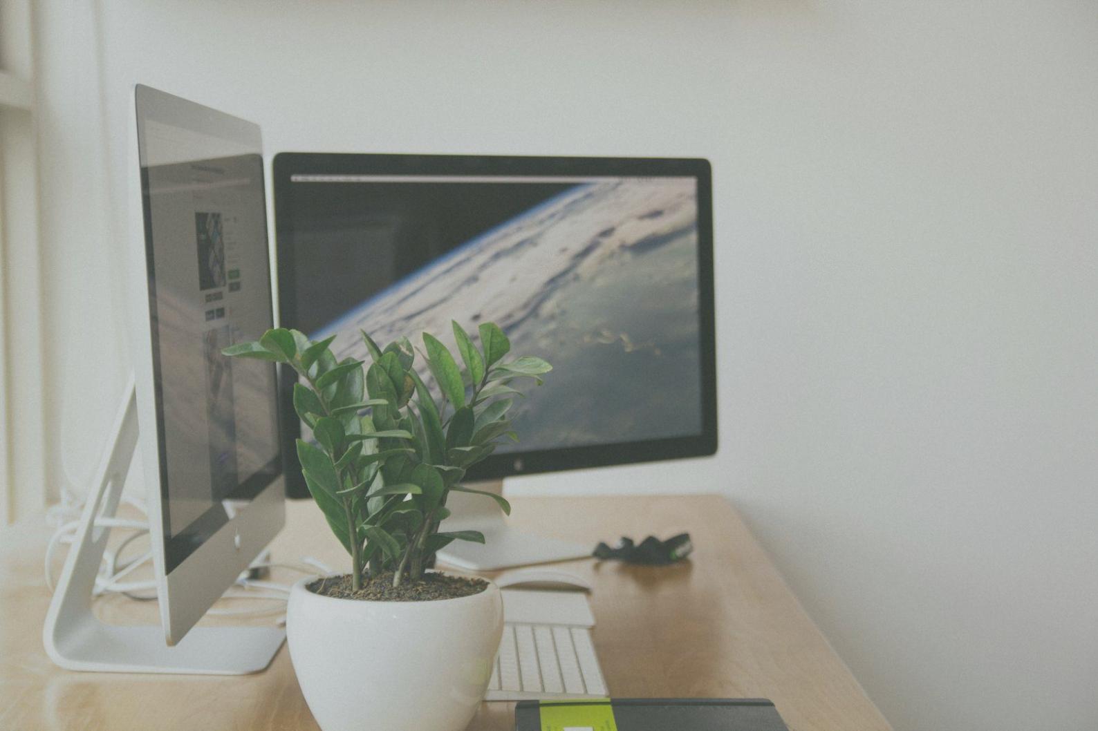 Financial data visualization and market research analysis